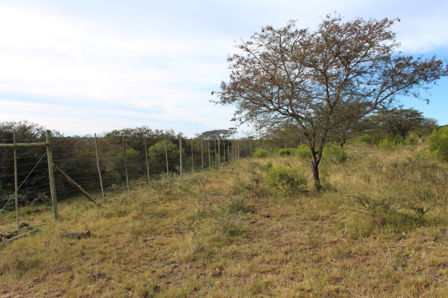 1 Bedroom Property for Sale in Bathurst Rural Eastern Cape